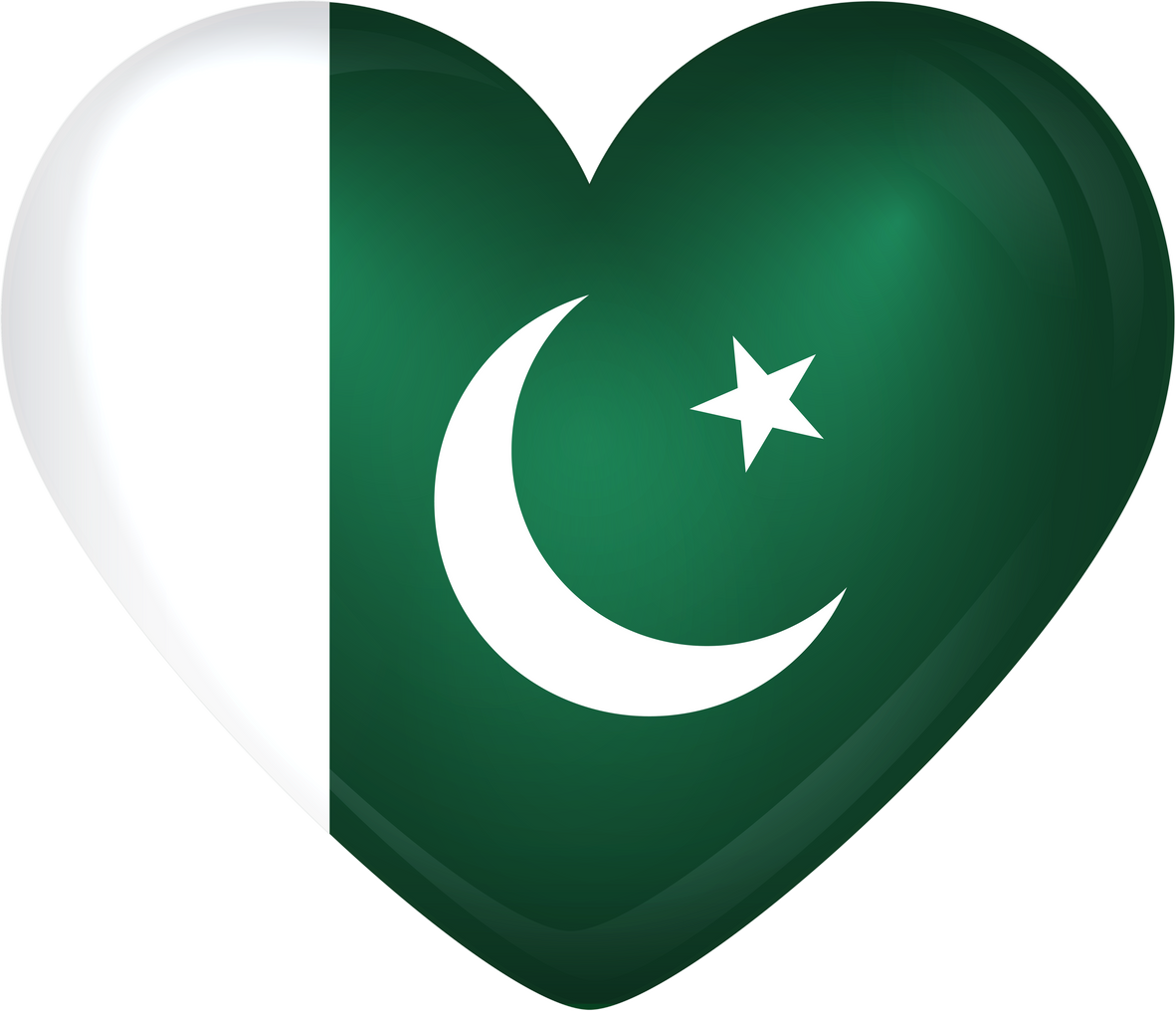 Pakistan Heart Flag